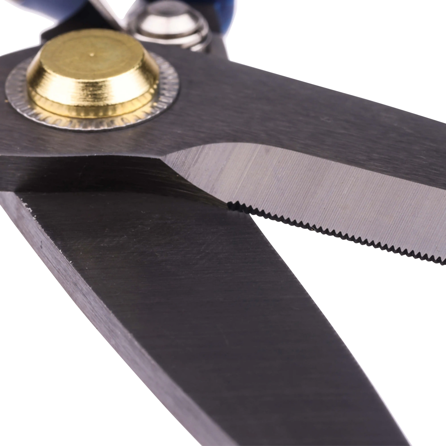Toit Stainless Steel Scissors