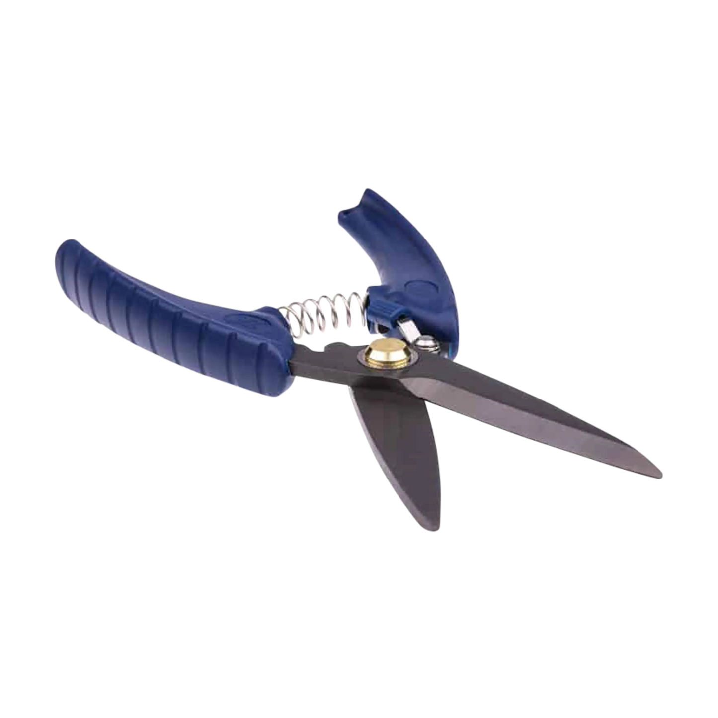 Toit Stainless Steel Scissors